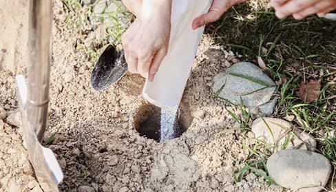 環保葬中的樹葬是什麼？優缺點、費用、如何申請一次告訴你！