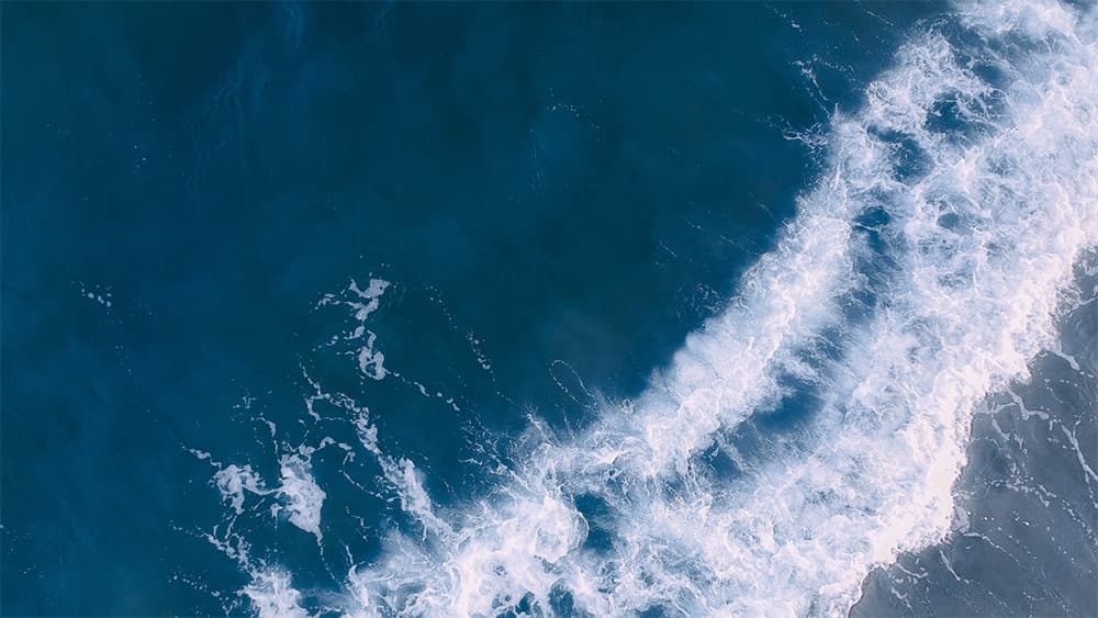 完整海葬解析！海葬優缺點、申請手續、費用、流程、補助一次看！